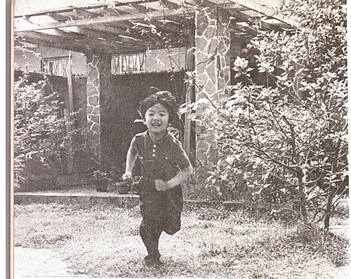 謀謀和我的童年記事(下)