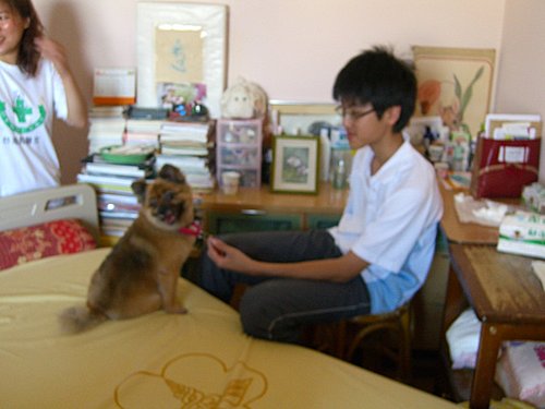 看狗醫生(三)