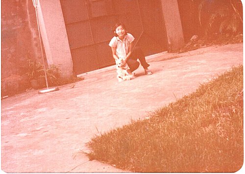 陳小花(一) ─ 小花的到來