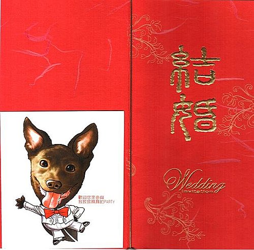 我親愛的學生們《二》──大小嘍囉要結婚了