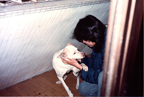 陳小花(二) ─ 小花的成長(上)