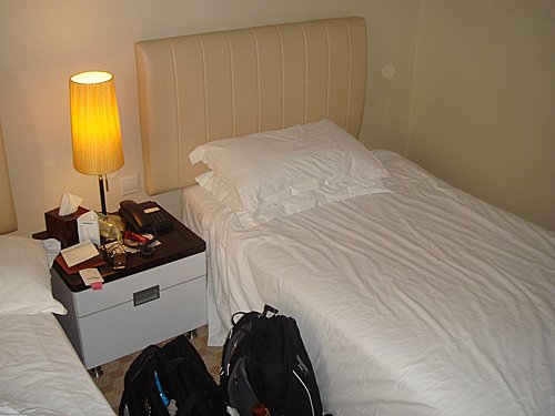 哥倆兒遊上海世博