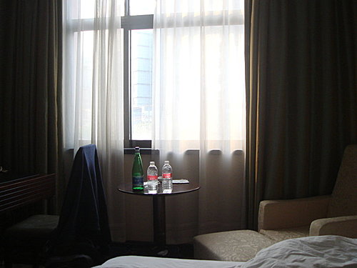 哥倆兒遊上海世博